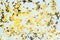 Golden glossy confetti