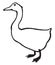 The golden goose, vintage engraving