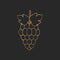 Golden grapes on black background, grape types set. Logo design, vector illustration. Wine vector logo art.