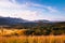 Golden grass field and morning scene of Ranong valley, Thailand