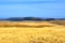 Golden grass hills at the Lagonacky plateau