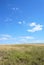 Golden grasses of a prairie