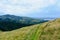 Golden-green hills in a regional park, New Zealand. Rural landscape, sunny and idyllic.