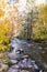 Golden, green, and orange, leafed aspen along flowing creek