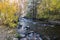 Golden, green, and orange, leafed aspen along flowing creek