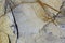Golden grey stone surface texture with cracks. Mountain limestone background.