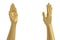 Golden hands  on a white background,3D illustration