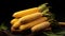 Golden Harvest: Bunch of Dried Corn Cobs