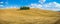 Golden harvest fields with cypress trees, Val d\'Orcia, Tuscany, Italy