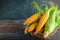 A golden harvest isolated corn on a textured wooden background