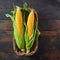 A golden harvest isolated corn on a textured wooden background