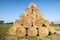 Golden hay bales harvested