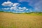 Golden hay field in green agricultural landscape