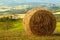 Golden hayfield in tuscany