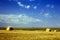 Golden Hayfields in Southwestern South Dakota, Buffalo Gap Grasslands