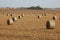 Golden haystacks on a field