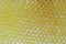 Golden hexagonal honeycombs filled with fresh honey as a background or a backdrop