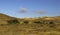 Golden hills with a valley of green trees