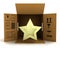 Golden holiday star product delivery