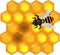 Golden honeycomb with bee