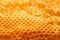 Golden honeycomb cells; closeup