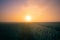 Golden Horizons: Majestic Summer Sunrise over Countryside Wheat Field