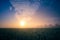 Golden Horizons: Majestic Summer Sunrise over Countryside Wheat Field