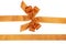 Golden horizontal gift ribbons and luxurious bow