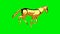 Golden horse galloping, seamless loop, Green Screen