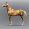 Golden horse isolated on a gray background