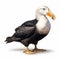 Golden Hour Albatross: Raven Painting In Bosschaert\\\'s Style