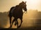 Golden Hour at the Epsom Derby