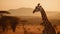 Golden Hour Giraffe: National Geographic\\\'s Agfa Vista Shot