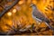 Golden Hour Glow: Turtledove on Ancient Olive Branch, Intricate Feathers Illuminated