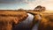 Golden Hour Hike: A Stunning Marsh Trail At Sunset