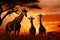 Golden hour magic giraffes bask in the setting suns transformative glow