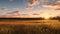 Golden Hour Meadow: Hyper Realistic Grassy Field With Tranquil Landscapes