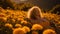 Golden Hour Portrait: Beautiful Girl In A Yellow Dandelion Sunset Session