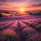Golden Hour Serenity in Lavender Fields