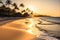 Golden Hour Sunset Backlighting a Tranquil Beach, Shadows of Palm Trees Elongating Across the Sand