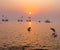 Golden hour in Triveni Sangam, Prayagraj, Uttarpradesh, India