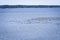 Golden hour view of Canadian Geese landing on the Rappahannock River