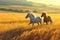 Golden Hues Galore: Illuminated Equine Beauty in Flowing Fields.