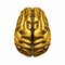 Golden human brain