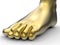 Golden human foot illustration