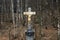 Golden Jesus Christ crucifixion statue, cloudy dark day, birch trees mysterious background