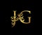 Golden JG, J and G Luxury Logo Icon, Vintage Gold  Initials Mark Design. Elegant luxury gold color on black background