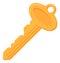 Golden key icon. Luck and wealth cartoon symbol