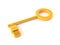 Golden key with rj45 plug