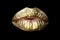 Golden kiss lipstick closeup. Lips with metal makeup. Sexy lips, Metallic lipstick close up.